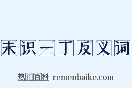 未识一丁反义词是什么意思的图片